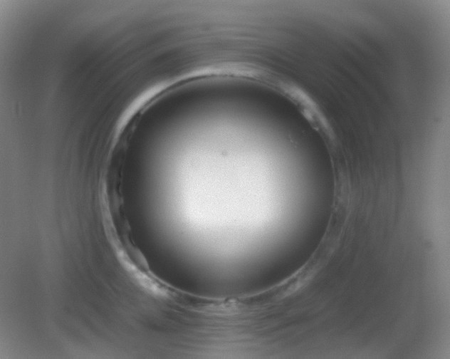 X0000082990952200702011425