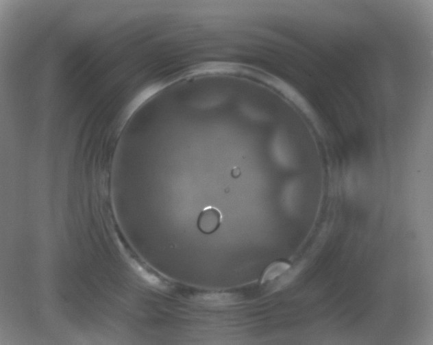 X0000082990953200702011425