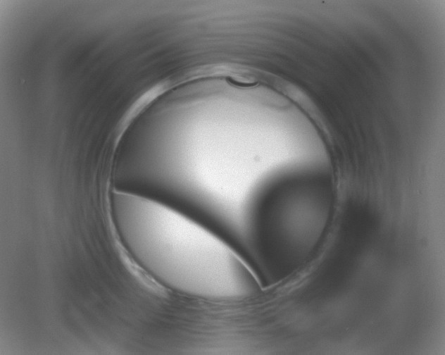 X0000082990954200702011425