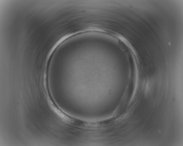 X0000082990955200702011425