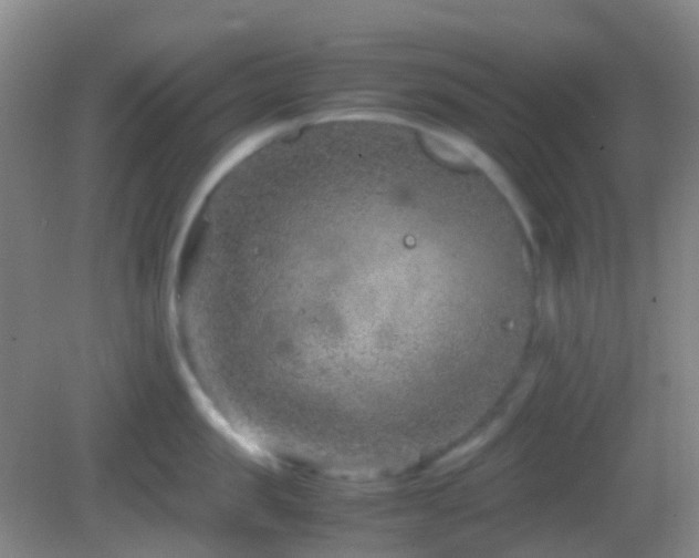 X0000082990957200702011425