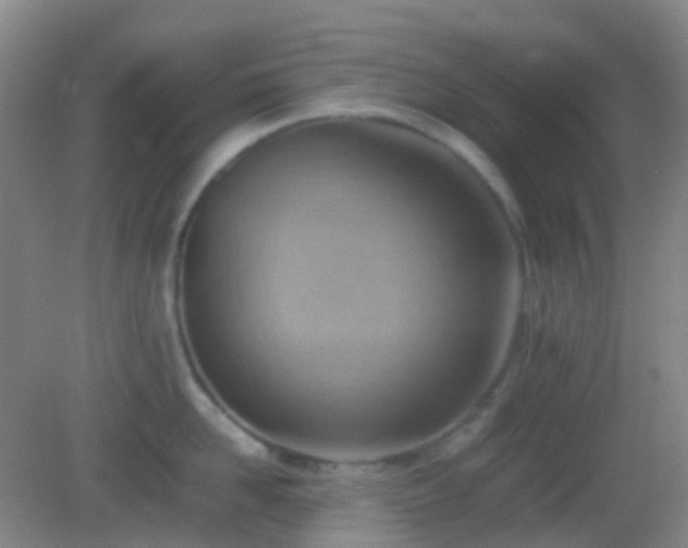 X0000082990958200702011425