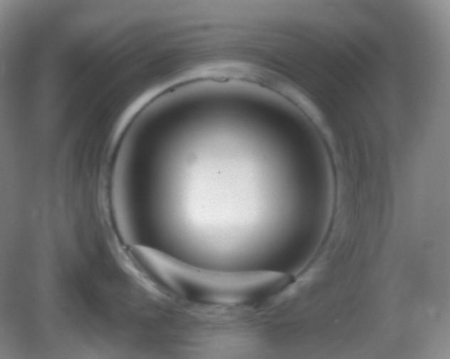 X0000082990960200702011426