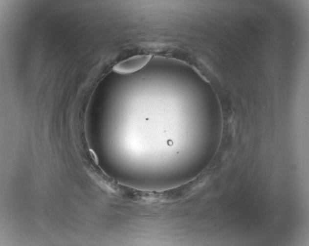 X0000082990961200702011425