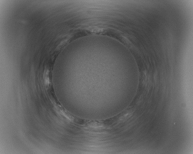 X0000082990962200702011425