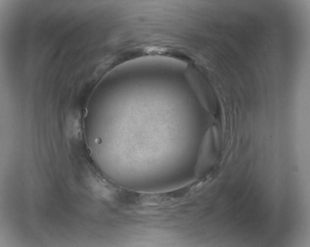 X0000082990963200702011425