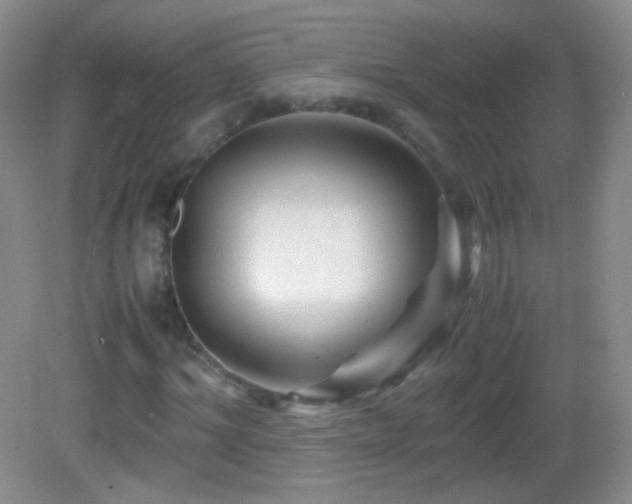 X0000082990964200702011425