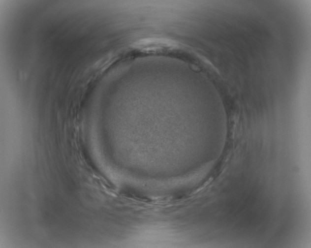 X0000082990965200702011425