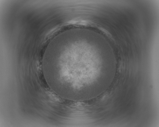 X0000082990966200702011425