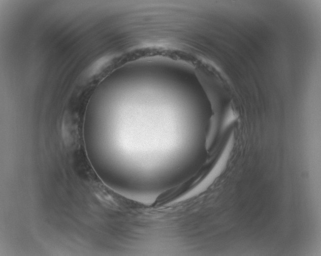 X0000082990968200702011425