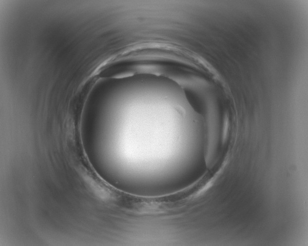 X0000082990969200702011425