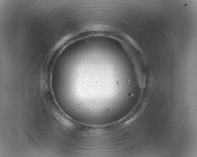 X0000082990970200702011425