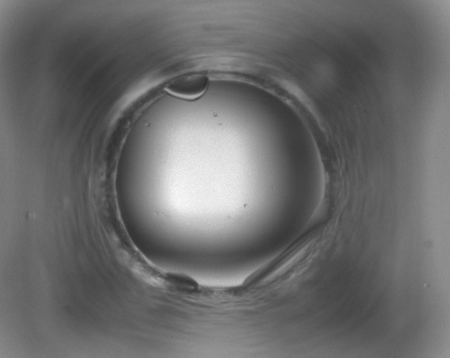 X0000082990971200702011425