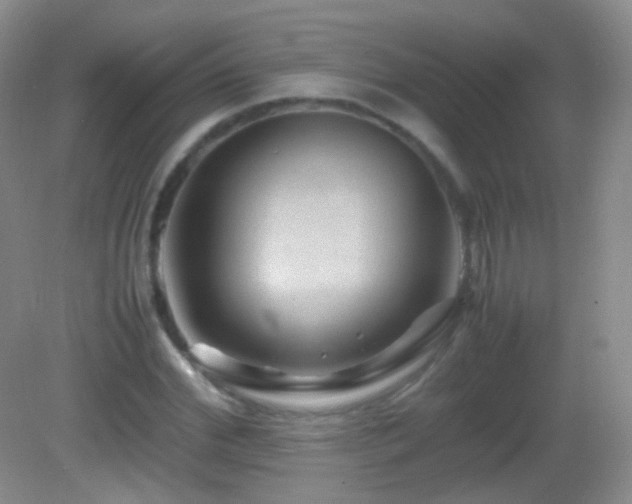 X0000082990972200702011425