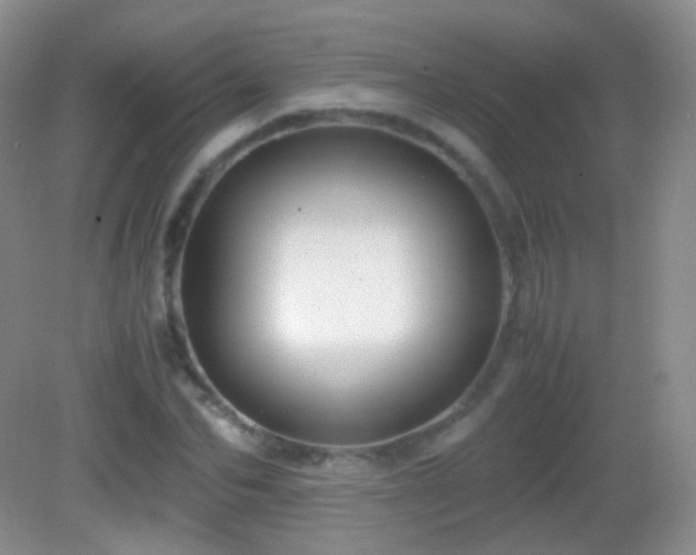 X0000082990974200702011425