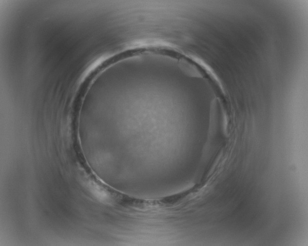 X0000082990975200702011424