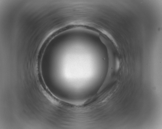 X0000082990976200702011424