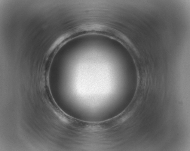 X0000082990978200702011424