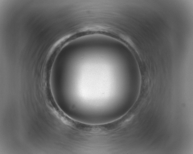 X0000082990979200702011424