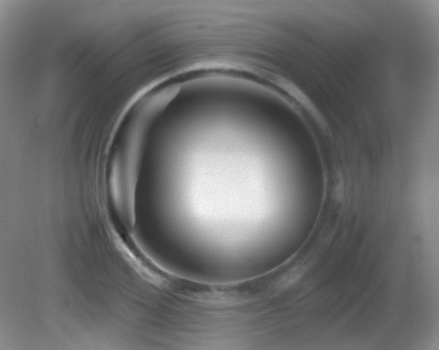 X0000082990980200702011424