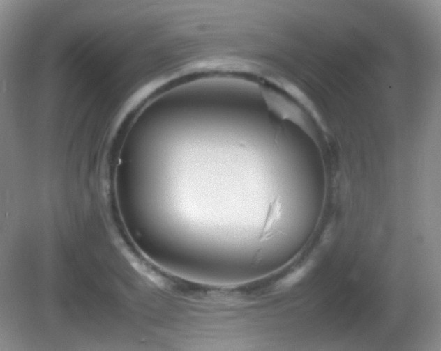 X0000082990981200702011424