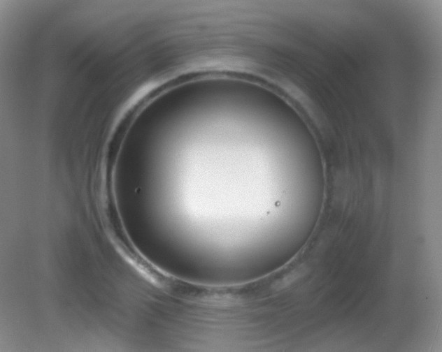 X0000082990982200702011424