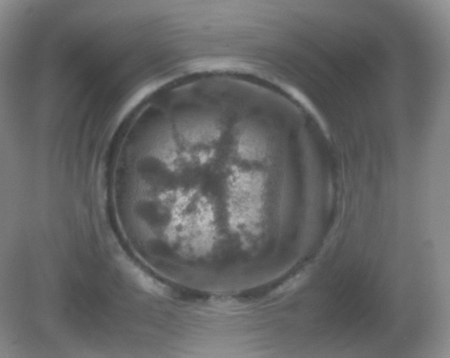 X0000082990983200702011424