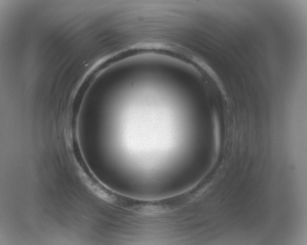 X0000082990984200702011424