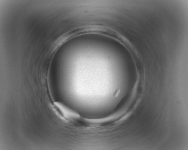 X0000082990985200702011424