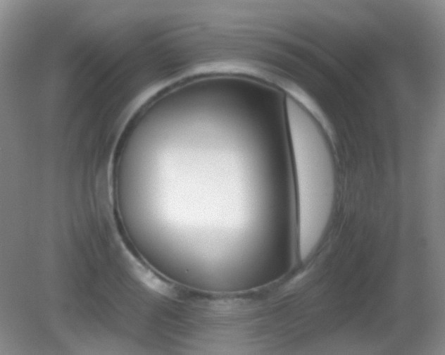 X0000082990988200702011424