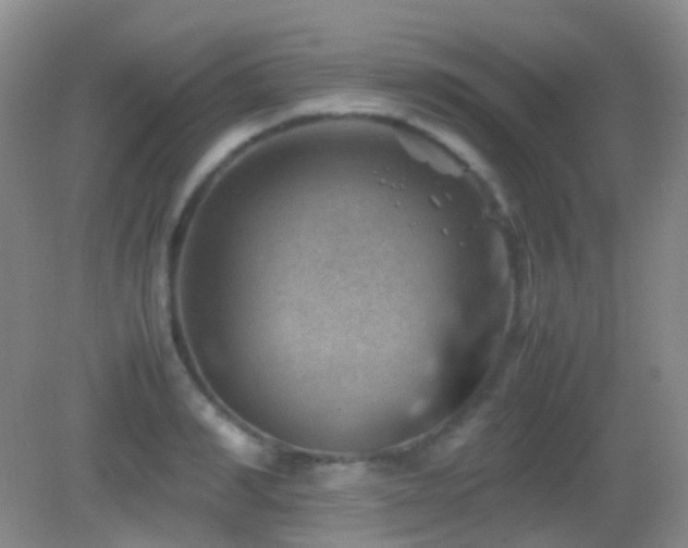 X0000082990990200702011424