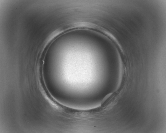 X0000082990991200702011424