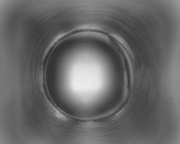 X0000082990992200702011424