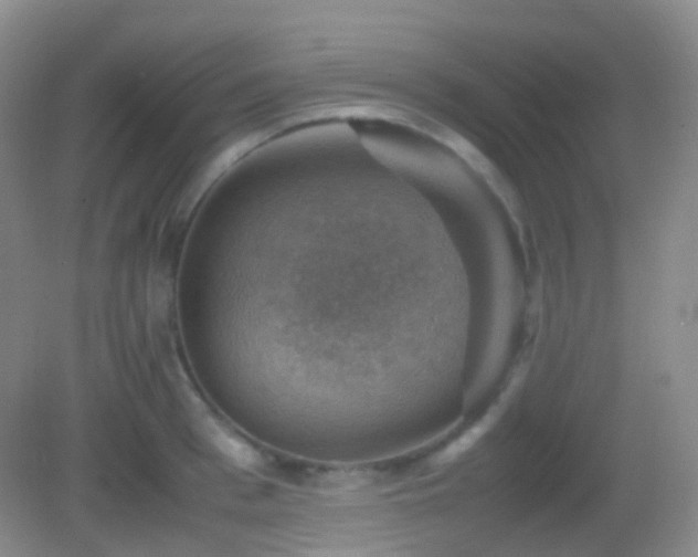 X0000082990993200702011424