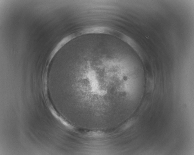 X0000082990994200702011424