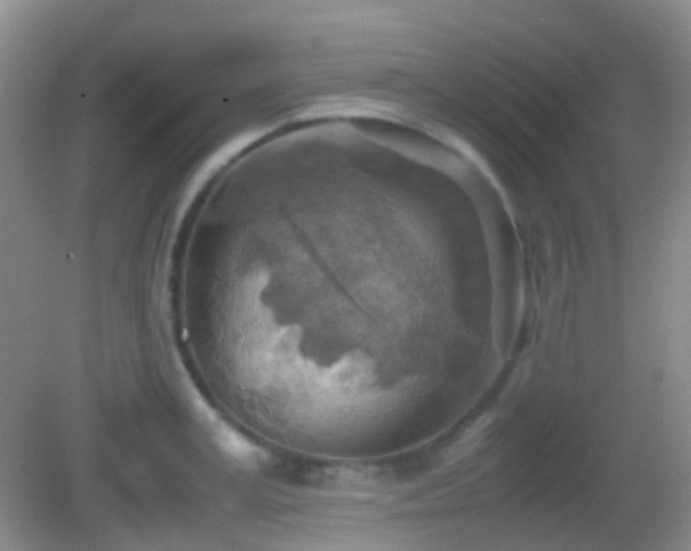 X0000082990995200702011424