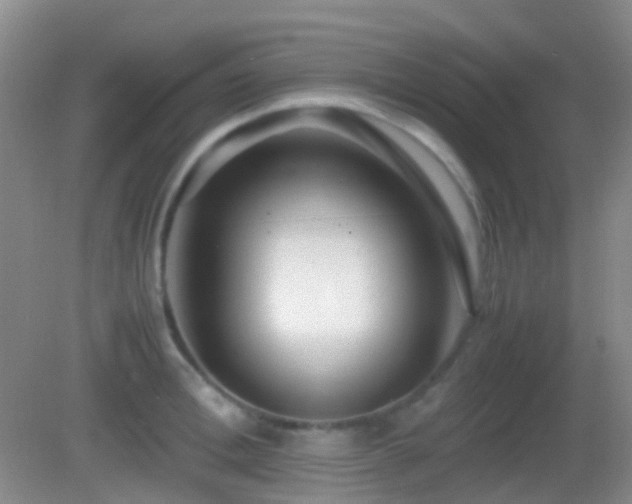 X0000082990996200702011424