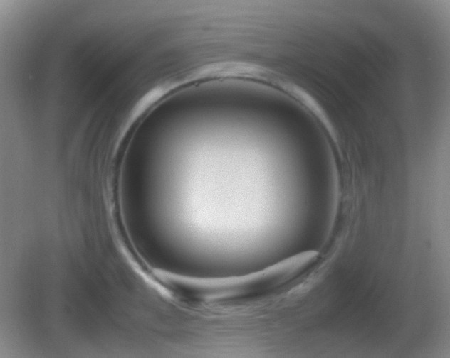 X0000082990997200702011424