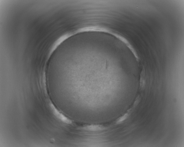 X0000082990998200702011424