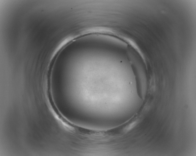 X0000082990999200702011424