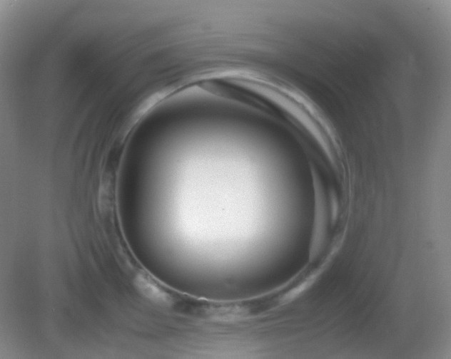 X0000082991001200702011424