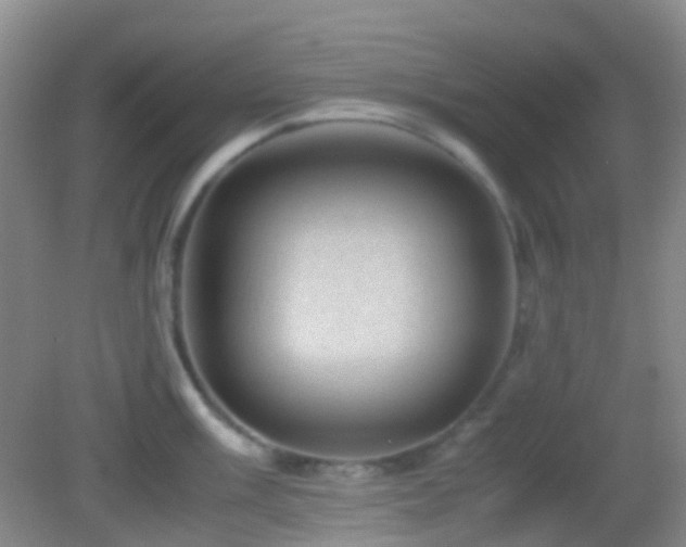 X0000082991003200702011424