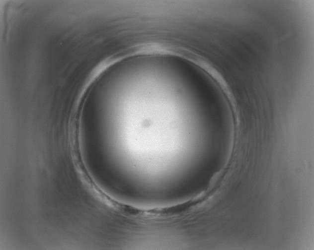 X0000082991008200702011424