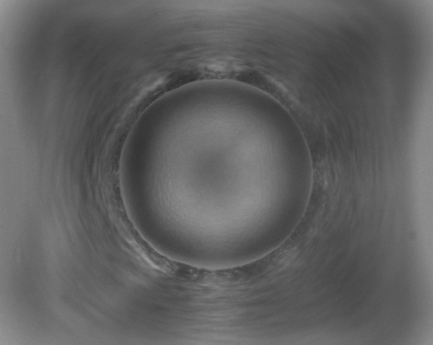 X0000082991009200702011423