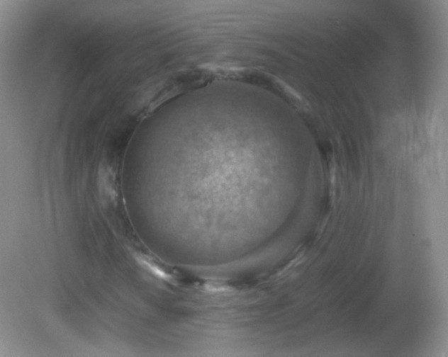 X0000082991010200702011423