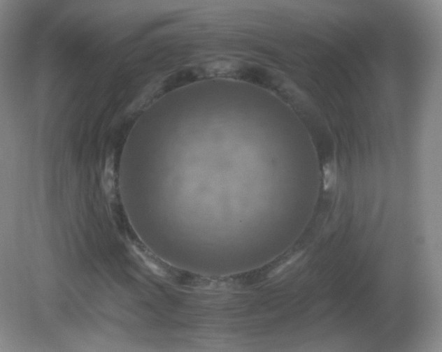 X0000082991011200702011423