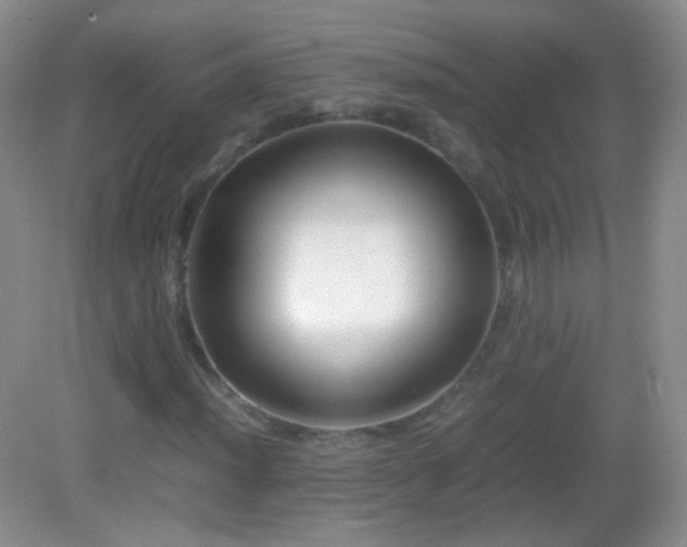 X0000082991012200702011423