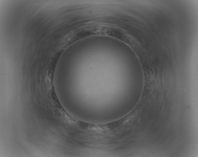 X0000082991013200702011423