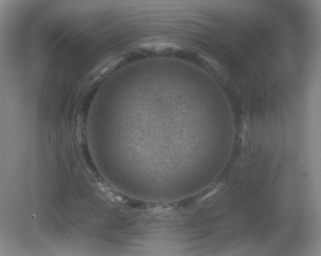 X0000082991014200702011423