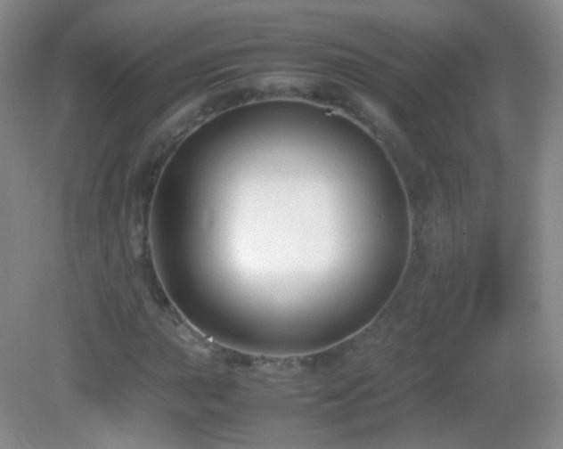 X0000082991015200702011423